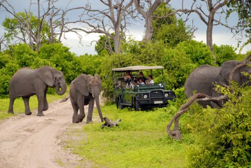 BOTSWANA (safari) + ZAMBIE, ZIMBABWE (Viktoriny vodopády)